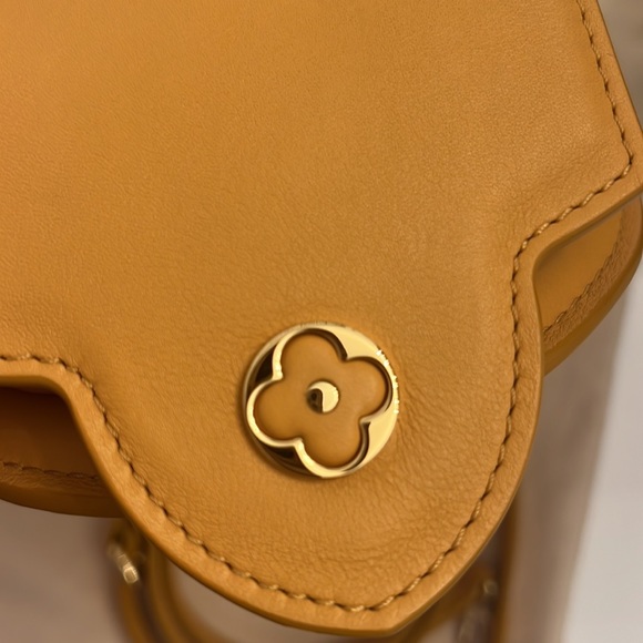 NEW **RARE** ** LIMITED EDITION**Authentic Louis Vuitton Capucines Mini - Picture 16 of 17